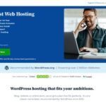 Bluehost Hosting